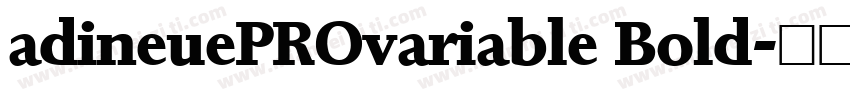 adineuePROvariable Bold字体转换